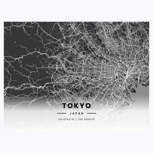 Tokyo in Dark Poster - Street Map 1