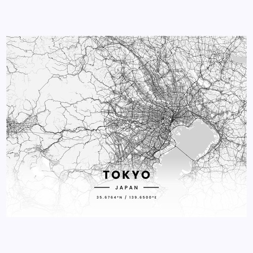 Tokyo in Light Poster - Street Map 1