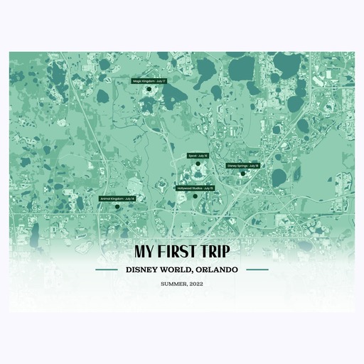 Our Family’s First Trip - Street Map 1