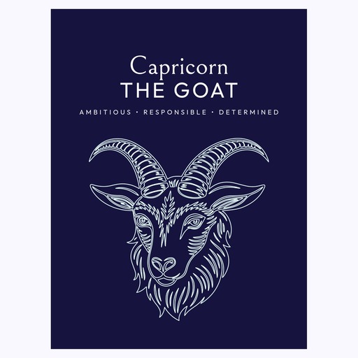 Capricorn in Fine Line Print - Custom Zodiac Sign Poster 6