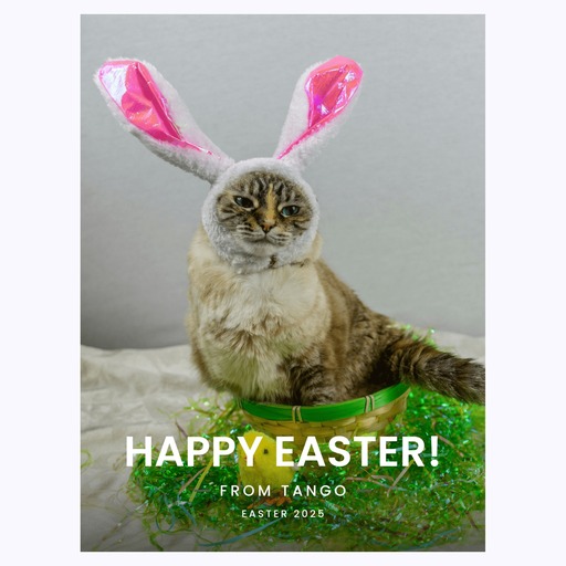 Easter Pet Poster - Photo Collage Print 6