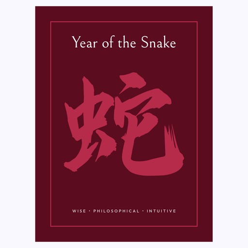 Snake in Curvy Print - Custom Chinese Zodiac Poster 6