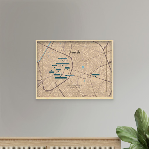 Brussels Airbnb Tourist Poster in Road Trip - Street Map 8