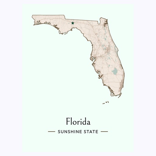 Florida State Poster - Boundary Map 6