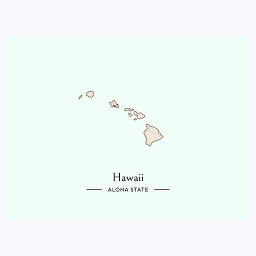 Hawaii State Poster - Boundary Map 6