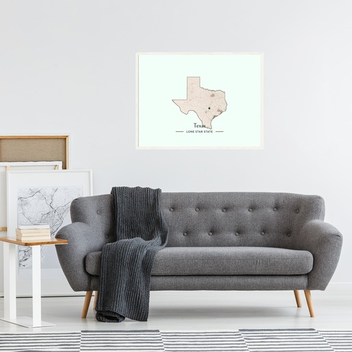 Texas State Poster - Boundary Map 9