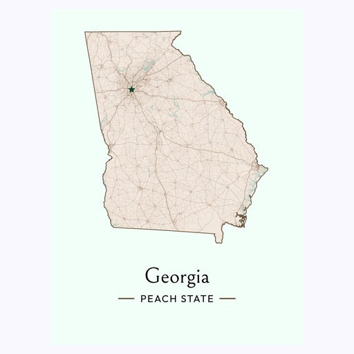 Georgia State Poster - Boundary Map 6