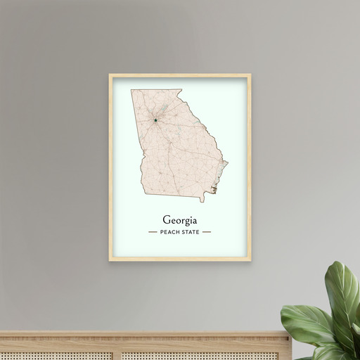 Georgia State Poster - Boundary Map 8