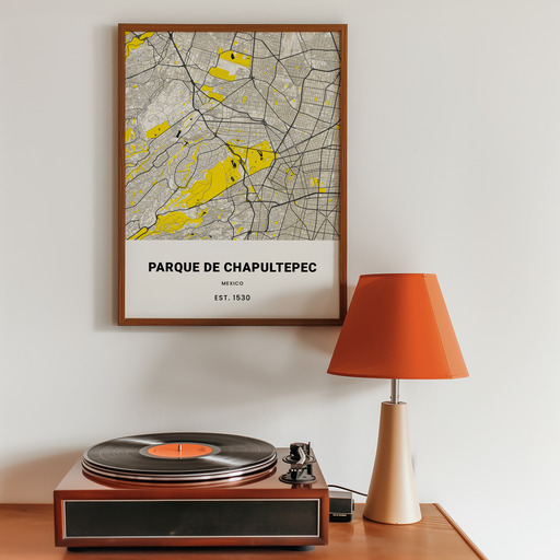 Parque de Chapultepec Poster - Street Map 9