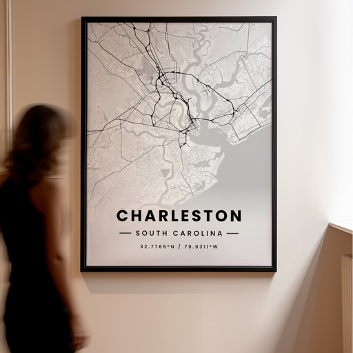 Charleston in Light Poster - Street Map 11
