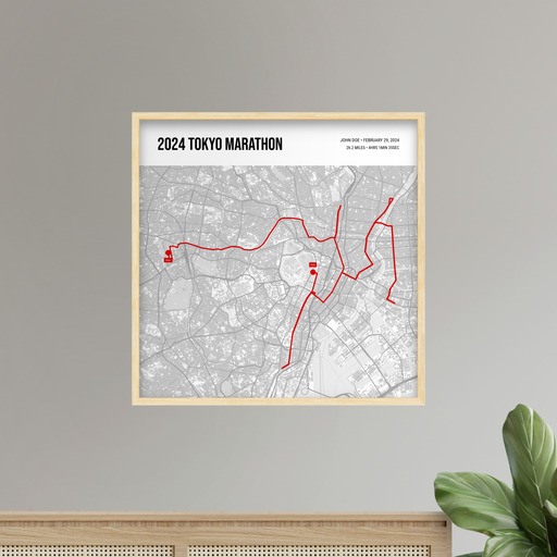 2024 Tokyo Marathon Poster - Route Map 10