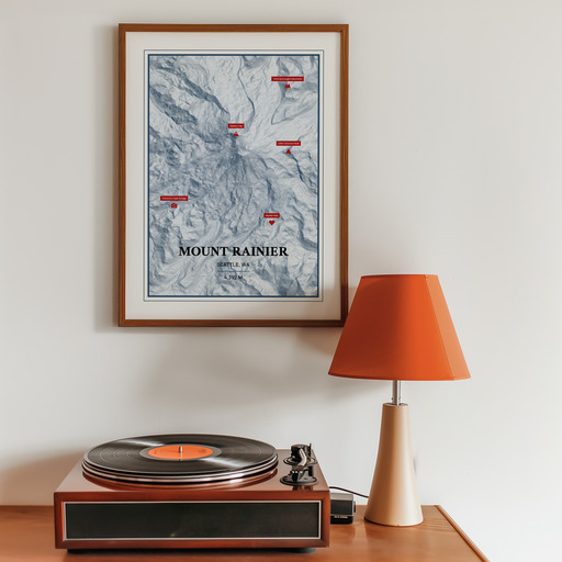 Trip To Mount Rainier Poster - Terrain Map 9