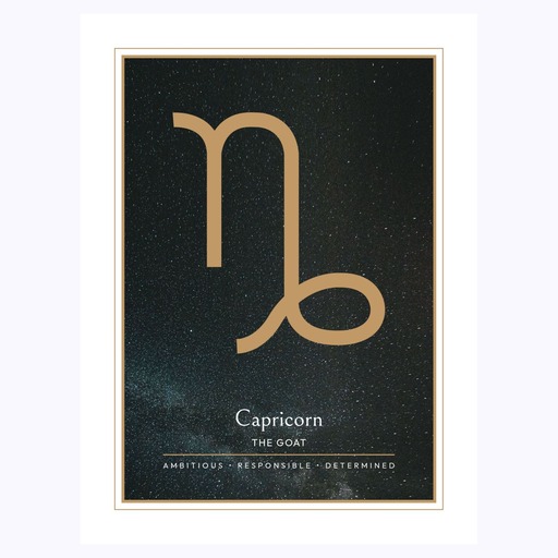 Capricorn in Simple Sharp Print - Custom Zodiac Sign Poster 6