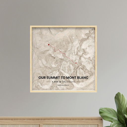 Our Summit to Mont Blanc Poster - Topographic Map 11