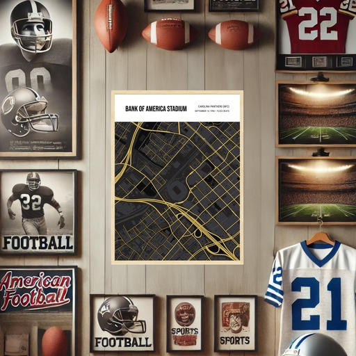 Carolina Panthers Stadium Poster - Street Map 10