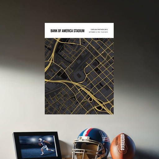 Carolina Panthers Stadium Poster - Street Map 9