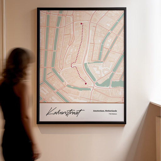 Kalverstraat Poster - Street Map 11