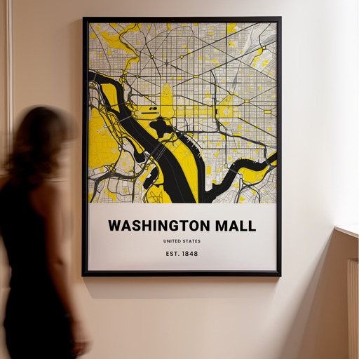 Washington Mall Poster - Street Map 10