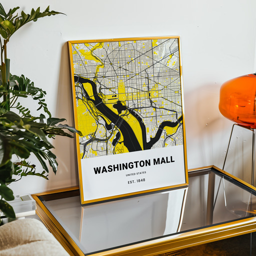 Washington Mall Poster - Street Map 11