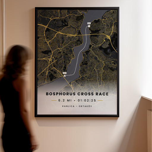 Bosphorus Cross Continental Swim Race - Route Map 10