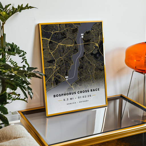 Bosphorus Cross Continental Swim Race - Route Map 11