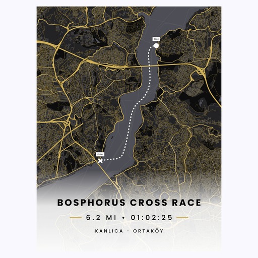 Bosphorus Cross Continental Swim Race - Route Map 6