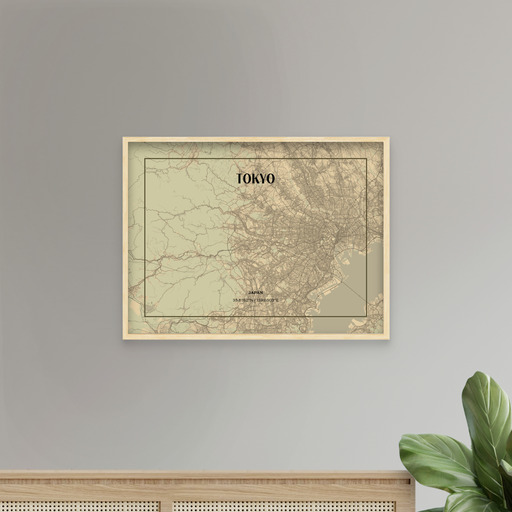 Tokyo in Vintage Poster - Street Map 9