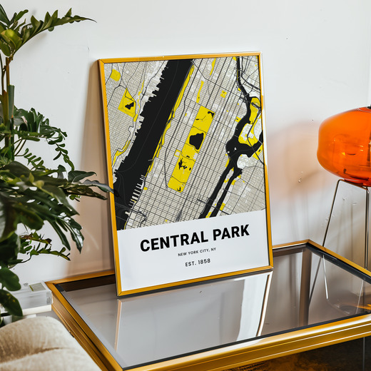 Central Park Poster - Street Map 11
