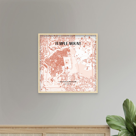 Temple Mount - Street Mpp 9