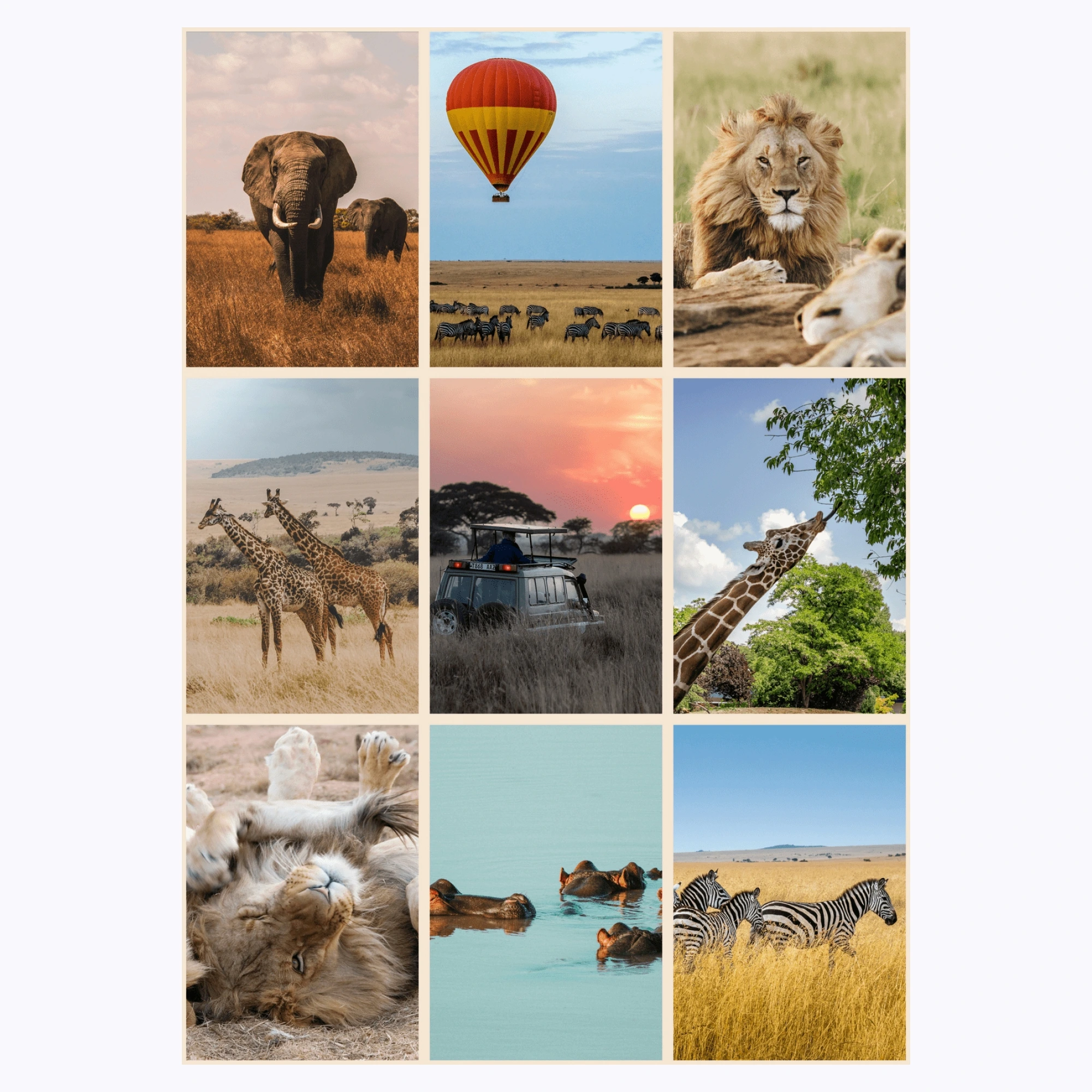 Image gallery