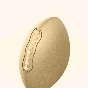 Gifts for Sports Fans